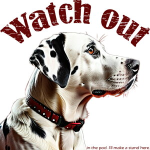  _VA NbVJo[ 45×45cm Aj}   NbV{̕t ` t@