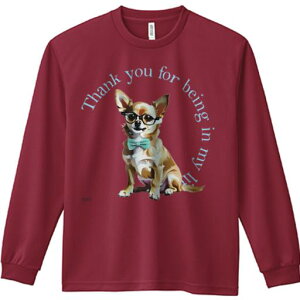 TVc lԗp Y Ht vg W[ AEghA JWA 킢 t@ Kl ` lN^C