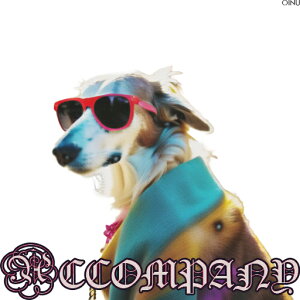 TOX ̑ XJ[t  NbVJo[ 45×45cm Aj}   NbV{̕t ` t@