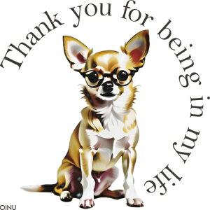 Kl ` NbVJo[ 45×45cm Aj}   NbV{̕t ` t@