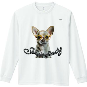 TVc lԗp Y Ht vg W[ AEghA JWA 킢 t@ Kl ` ZfBseB 