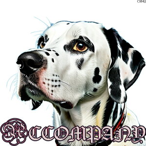 Ԃ _VA S NbVJo[ 45×45cm Aj}   NbV{̕t ` t@