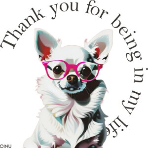 Kl ` CXg  NbVJo[ 45×45cm Aj}   NbV{̕t ` t@