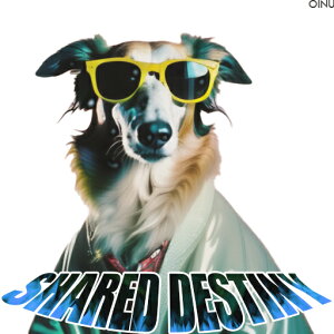 TOX {[_[R[ XJ[t NbVJo[ 45×45cm Aj}   NbV{̕t ` t@