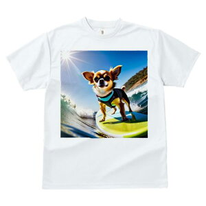 TVc Y LbY t@  t  vg JWA 킢 lԗp tBbglX _X T[tB ` r[` C z