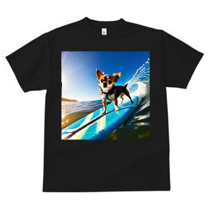 TVc Y LbY t@  t  vg JWA 킢 lԗp tBbglX _X T[tB ` C g  T[t{[h