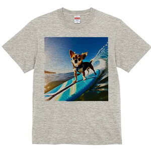 TVc Y LbY t@  t  vg JWA 킢 lԗp tBbglX _X T[tB ` C g  T[t{[h