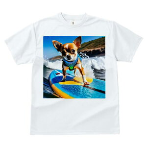 TVc Y LbY t@  t  vg JWA 킢 lԗp tBbglX _X T[tB ` C g T[t{[h