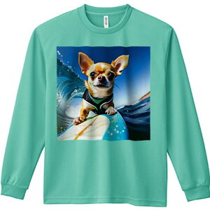 TVc lԗp Y Ht vg W[ AEghA JWA 킢 t@ T[tB ` g  pCtWPbg