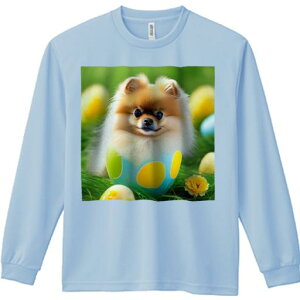 TVc lԗp Y Ht vg W[ AEghA JWA 킢 t@  |jA  ΂̑