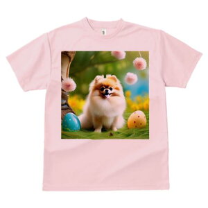 TVc Y LbY t@  t  vg JWA 킢 lԗp tBbglX _X C[X^[GbO |jA ʂ  