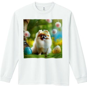 TVc lԗp Y Ht vg W[ AEghA JWA 킢 t@ C[X^[GbO |jA ʂ  