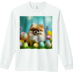 TVc lԗp Y Ht vg W[ AEghA JWA 킢 t@ Jtȗ |jA  ΂̑ 邢wi