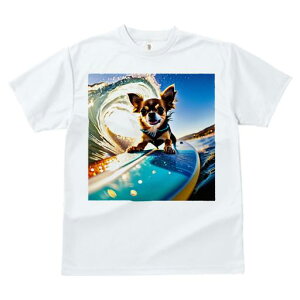 TVc Y LbY t@  t  vg JWA 킢 lԗp tBbglX _X T[tB ` r[` g TOX