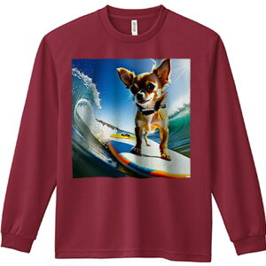 TVc lԗp Y Ht vg W[ AEghA JWA 킢 t@ T[tB ` g 