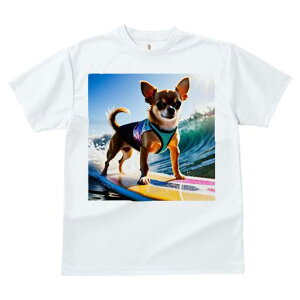 TVc Y LbY t@  t  vg JWA 킢 lԗp tBbglX _X T[t{[h ` g C T[tB