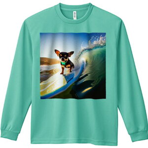 TVc lԗp Y Ht vg W[ AEghA JWA 킢 t@ T[tB ` g C [