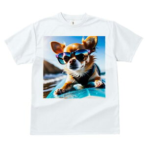 TVc Y LbY t@  t  vg JWA 킢 lԗp tBbglX _X TOX ` T[tB r[`  ž