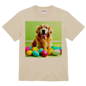 TVc Y LbY t@  t  vg JWA 킢 lԗp tBbglX _X Jtȗ S[fgo[ Ί wi