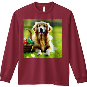 TVc lԗp Y Ht vg W[ AEghA JWA 킢 t@ C[X^[GbO S[fgo[ oXPbg ΂̎Ő