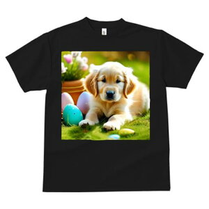 TVc Y LbY t@  t  vg JWA 킢 lԗp tBbglX _X Ő S[fgo[ C[X^[GbO  Aؔ