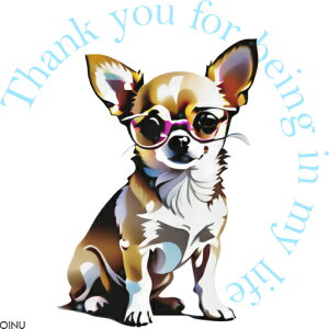 Kl ` NbVJo[ 45×45cm Aj}   NbV{̕t ` t@