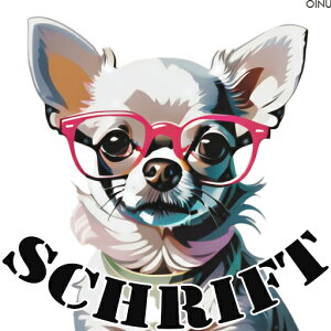 Kl ` eLXg SCHRIFT NbVJo[ 45×45cm Aj}   NbV{̕t ` t@