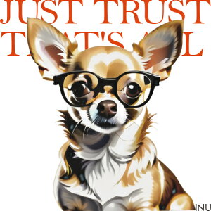 ዾ ` NbVJo[ 45×45cm Aj}   NbV{̕t ` t@