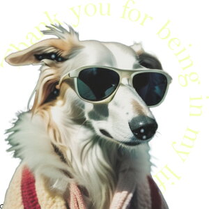 TOX ̑ }t[ NbVJo[ 45×45cm Aj}   NbV{̕t ` t@