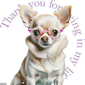 Kl `  eLXg 肪Ƃ NbVJo[ 45×45cm Aj}   NbV{̕t ` t@