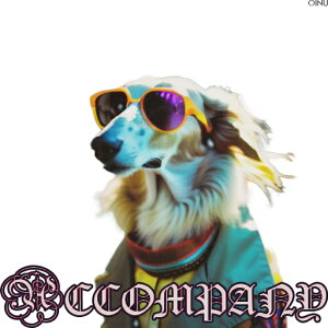 TOX T[L XJ[t NbVJo[ 45×45cm Aj}   NbV{̕t ` t@