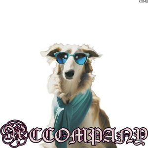 TOX S[fgo[ XJ[t t@bV  N[ NbVJo[ 45×45cm Aj}  NbV{̕t ` t@