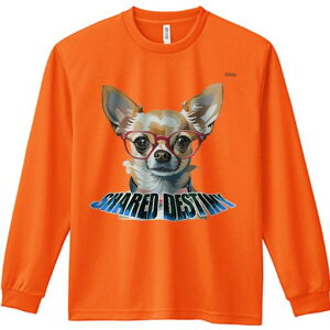 TVc lԗp Y Ht vg W[ AEghA JWA 킢 t@ ԂKl ` 