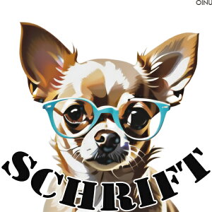 Kl ` NbVJo[ 45×45cm Aj}   NbV{̕t ` t@