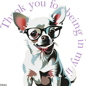 Kl ` |bvA[g NbVJo[ 45×45cm Aj}   NbV{̕t ` t@