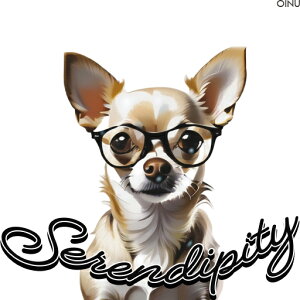 Kl ` ZfBseB NbVJo[ 45×45cm Aj}   NbV{̕t ` t@