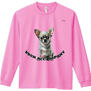 TVc lԗp Y Ht vg W[ AEghA JWA 킢 t@ Kl ` eLXg