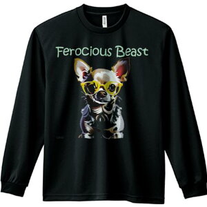 TVc lԗp Y Ht vg W[ AEghA JWA 킢 t@ Kl ` ANZT[ F 