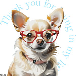 Kl ` Z[^[ NbVJo[ 45×45cm Aj}   NbV{̕t ` t@