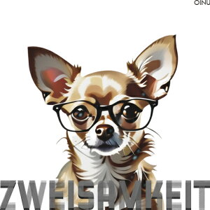 ዾ `  NbVJo[ 45×45cm Aj}   NbV{̕t ` t@