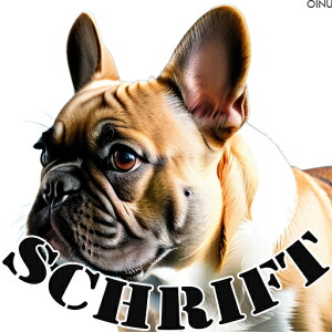 SCHRIFT t`uhbO   NbVJo[ 45×45cm Aj}   NbV{̕t ` t@