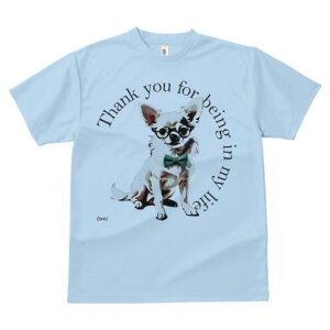 TVc Y LbY t@  t  vg JWA 킢 lԗp tBbglX _X 肪Ƃ ` Kl lN^C 