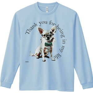 TVc lԗp Y Ht vg W[ AEghA JWA 킢 t@ 肪Ƃ ` Kl lN^C 