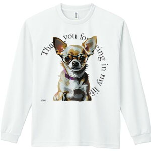 TVc lԗp Y Ht vg W[ AEghA JWA 킢 t@ Kl ` CXg bZ[W