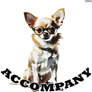 Kl `  NbVJo[ 45×45cm Aj}   NbV{̕t ` t@