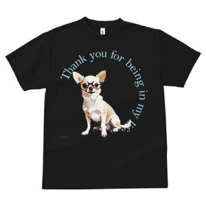 TVc Y LbY t@  t  vg JWA 킢 lԗp tBbglX _X Kl `  ӃeLXg