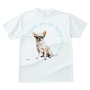 TVc Y LbY t@  t  vg JWA 킢 lԗp tBbglX _X Kl `  ӃeLXg