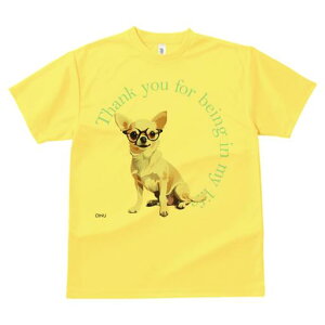 T�V���c �����Y �L�b�Y ���t�@�� ���� �t�� ���� �v�����g �J�W���A�� ���킢�� �l�ԗp �t�B�b�g�l�X �_���X ���K�l �`���� ������� ���Ӄe�L�X�g