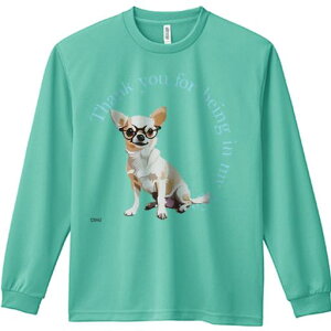 TVc lԗp Y Ht vg W[ AEghA JWA 킢 t@ Kl `  ӃeLXg