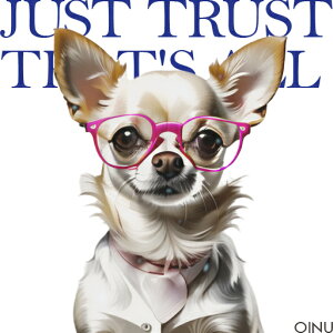 ዾ `  wi  NbVJo[ 45×45cm Aj}   NbV{̕t ` t@